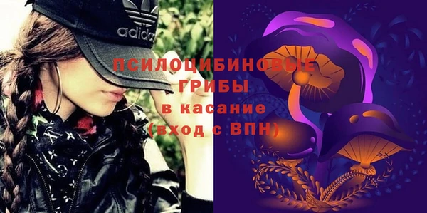 spice Абаза