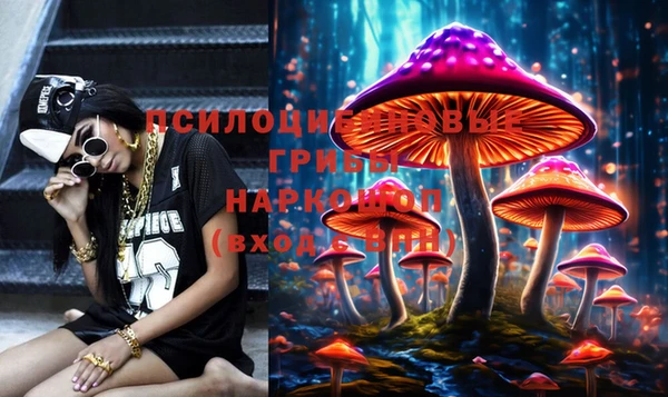 сатива Абинск