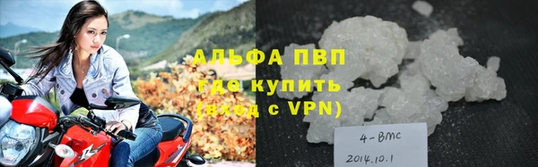 сатива Абинск